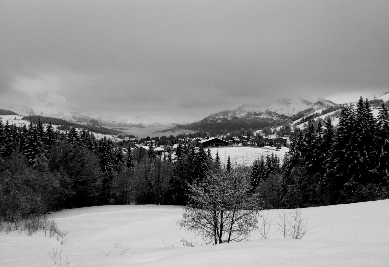 ElodiePauwels_winter scenery