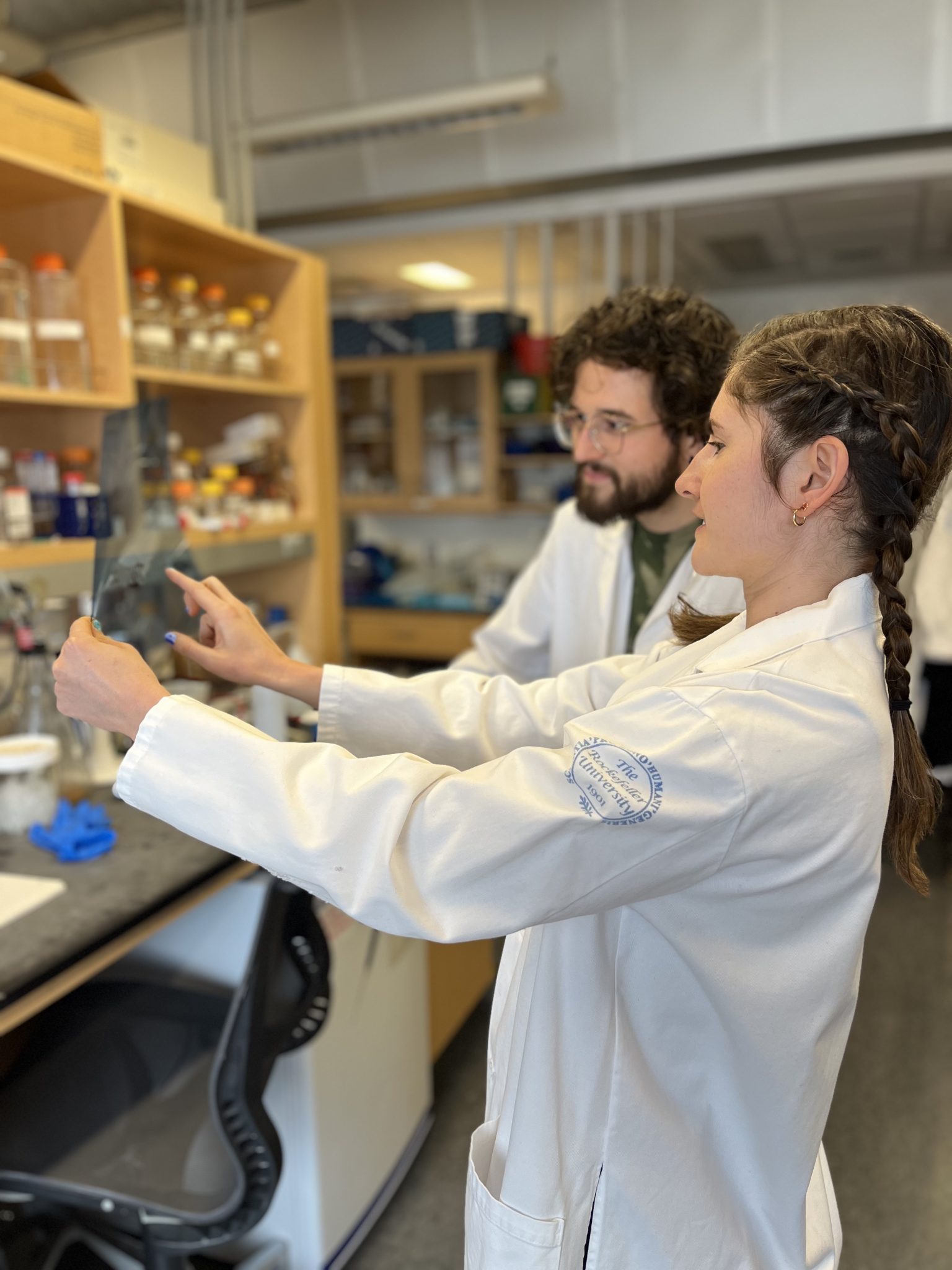 Will Artificial Intelligence Replace Bench And Computer Scientists