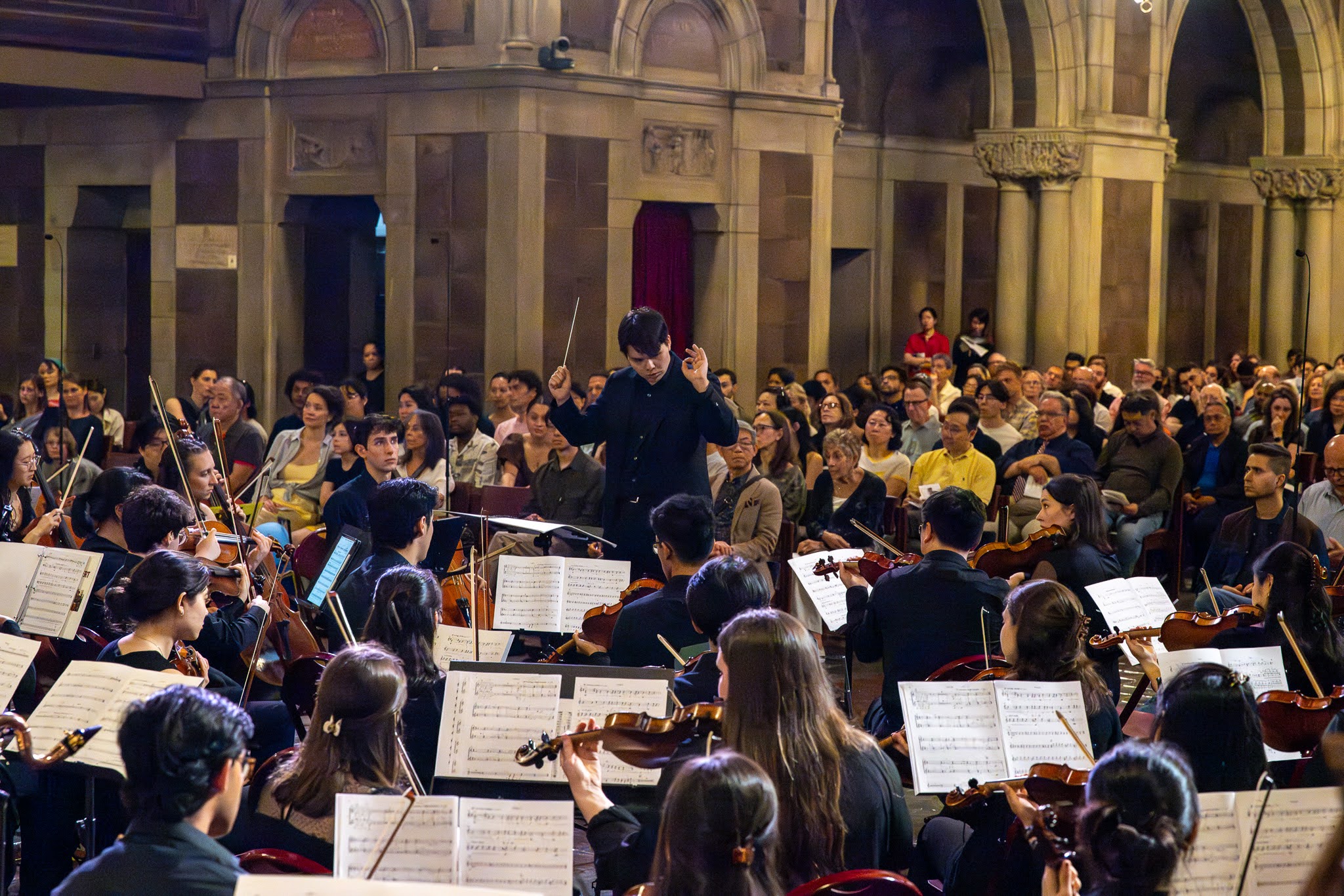 The Music & Medicine Orchestra: A Resounding Revival